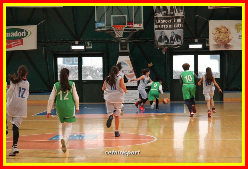 170107 basket 120_tn.jpg